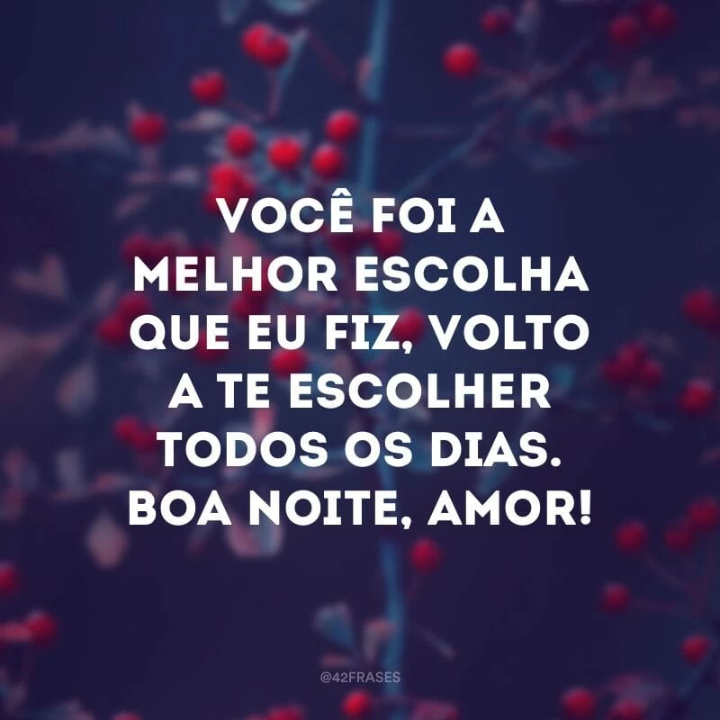 Você foi a melhor escolha que eu fiz, volto a te escolher todos os dias. Boa noite, amor!