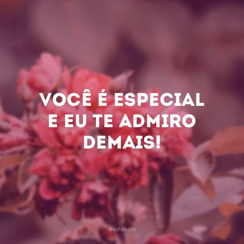 Você é especial e eu te admiro demais!