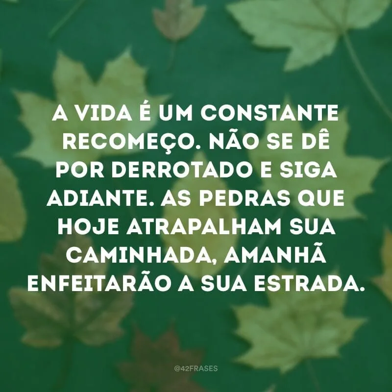 A vida é um constante recomeço. Não se dê por derrotado e siga adiante. As pedras que hoje atrapalham sua caminhada, amanhã enfeitarão a sua estrada.