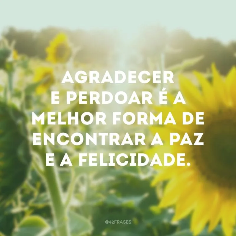 Agradecer e perdoar é a melhor forma de encontrar a paz e a felicidade.