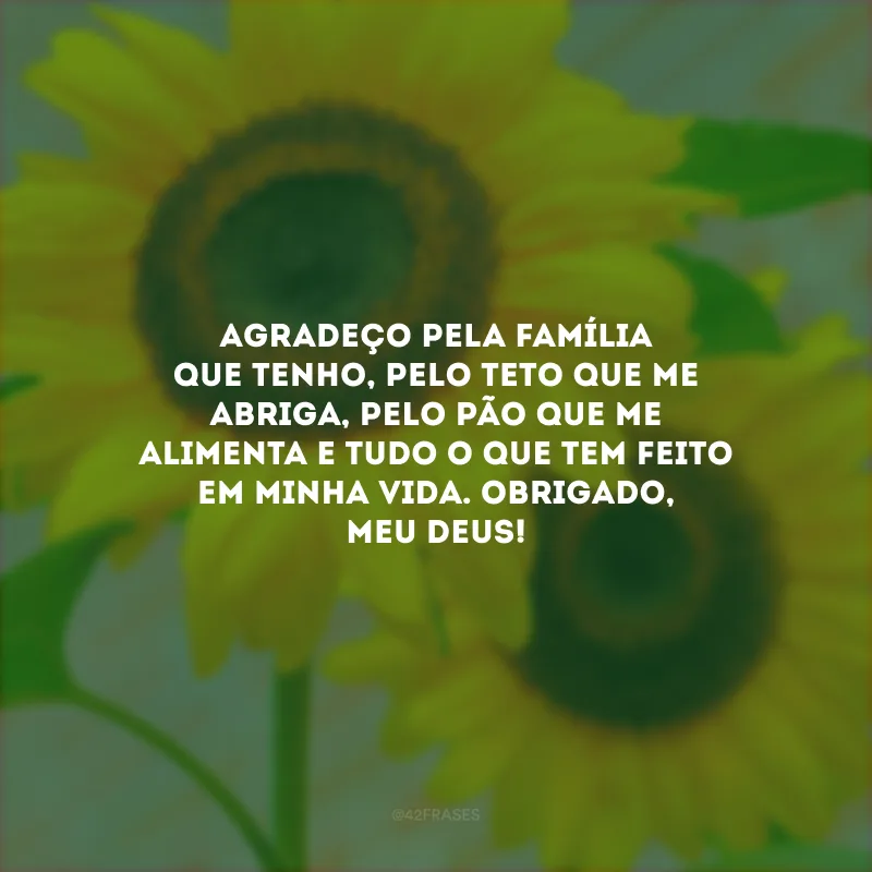 Agradeço pela família que tenho, pelo teto que me abriga, pelo pão que me alimenta e tudo o que tem feito em minha vida. Obrigado, meu Deus!