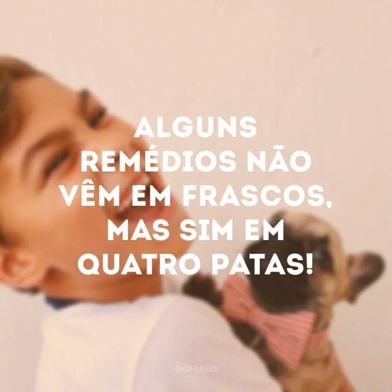 Alguns remédios não vêm em frascos, mas sim em quatro patas!