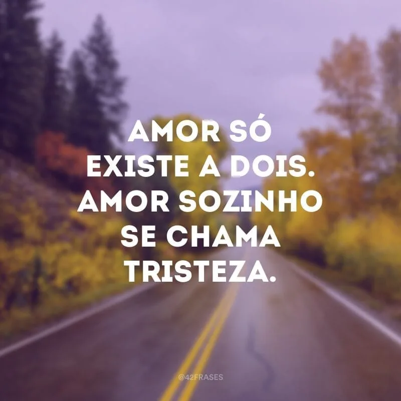 Amor só existe a dois. Amor sozinho se chama tristeza.
