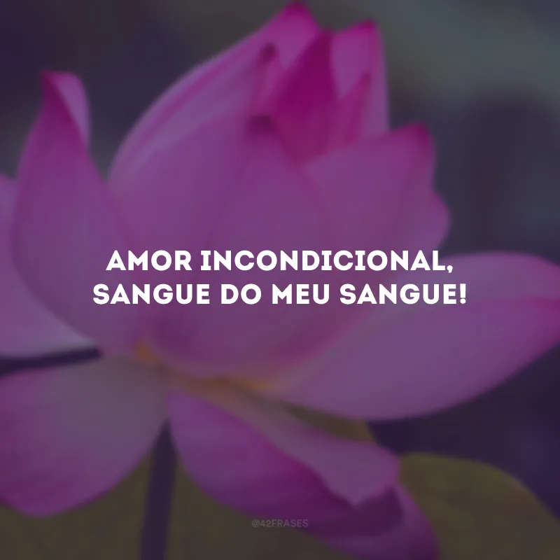 Amor incondicional, sangue do meu sangue!
