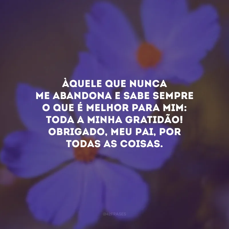 Àquele que nunca me abandona e sabe sempre o que é melhor para mim: toda a minha gratidão! Obrigado, meu Pai, por todas as coisas.