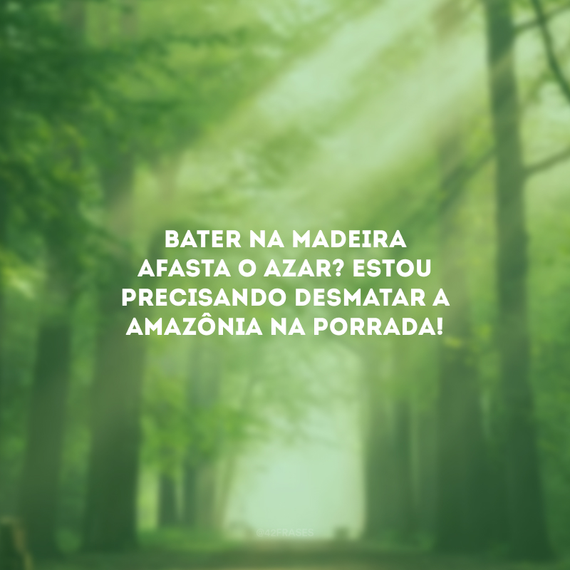 Bater na madeira afasta o azar? Estou precisando desmatar a Amazônia na porrada!
