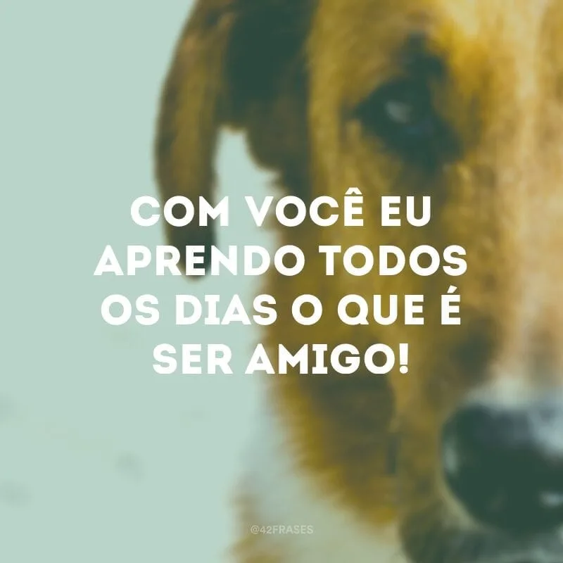 Com você eu aprendo todos os dias o que é ser amigo!