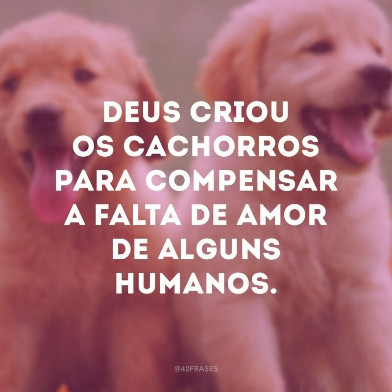 Deus criou os cachorros para compensar a falta de amor de alguns humanos.