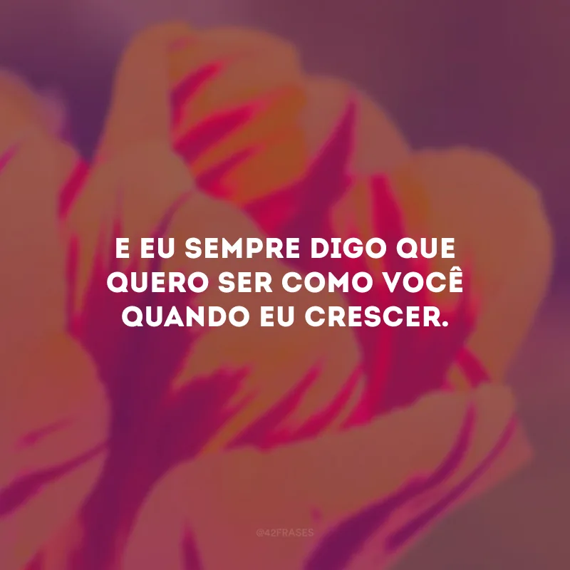 E eu sempre digo que quero ser como você quando eu crescer.