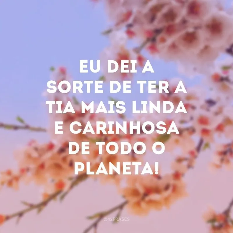 Eu dei a sorte de ter a tia mais linda e carinhosa de todo o planeta!