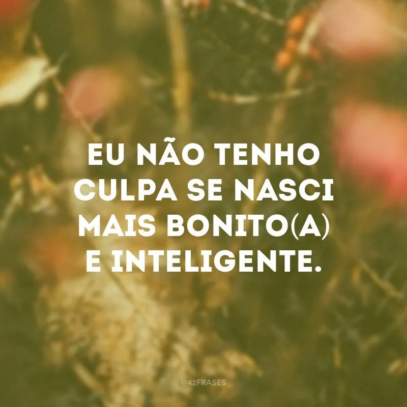 Eu não tenho culpa se nasci mais bonito(a) e inteligente.