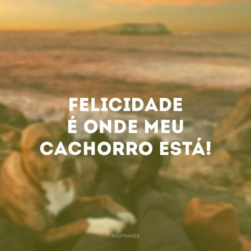Felicidade é onde meu cachorro está!