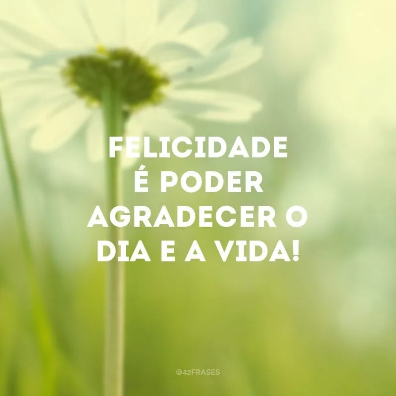 Felicidade é poder agradecer o dia e a vida!