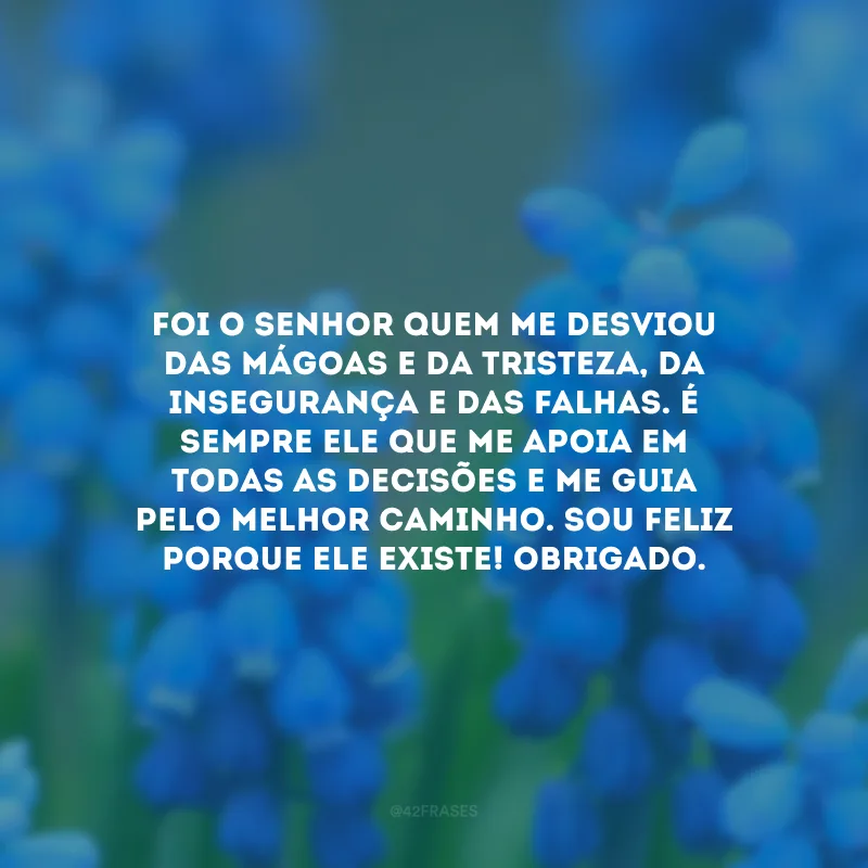 Foi o Senhor quem me desviou das mágoas e da tristeza, da insegurança e das falhas. É sempre Ele que me apoia em todas as decisões e me guia pelo melhor caminho. Sou feliz porque Ele existe! Obrigado.
