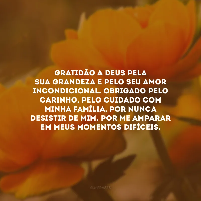 Gratidão a Deus pela sua grandeza e pelo seu amor incondicional. Obrigado pelo carinho, pelo cuidado com minha família, por nunca desistir de mim, por me amparar em meus momentos difíceis.