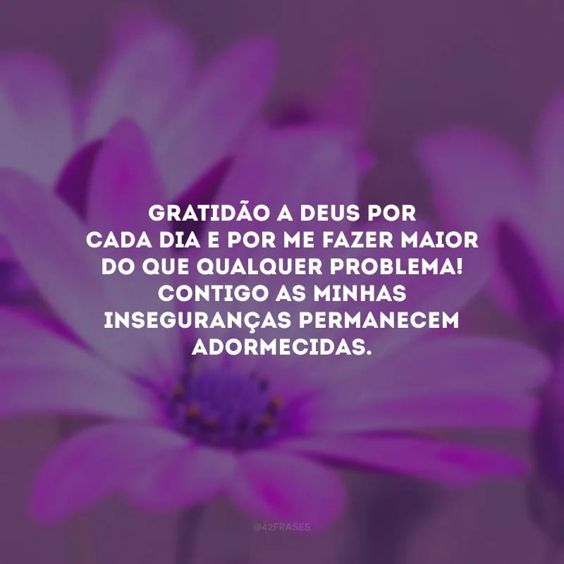 Gratidão a Deus por cada dia e por me fazer maior do que qualquer problema! Contigo as minhas inseguranças permanecem adormecidas.