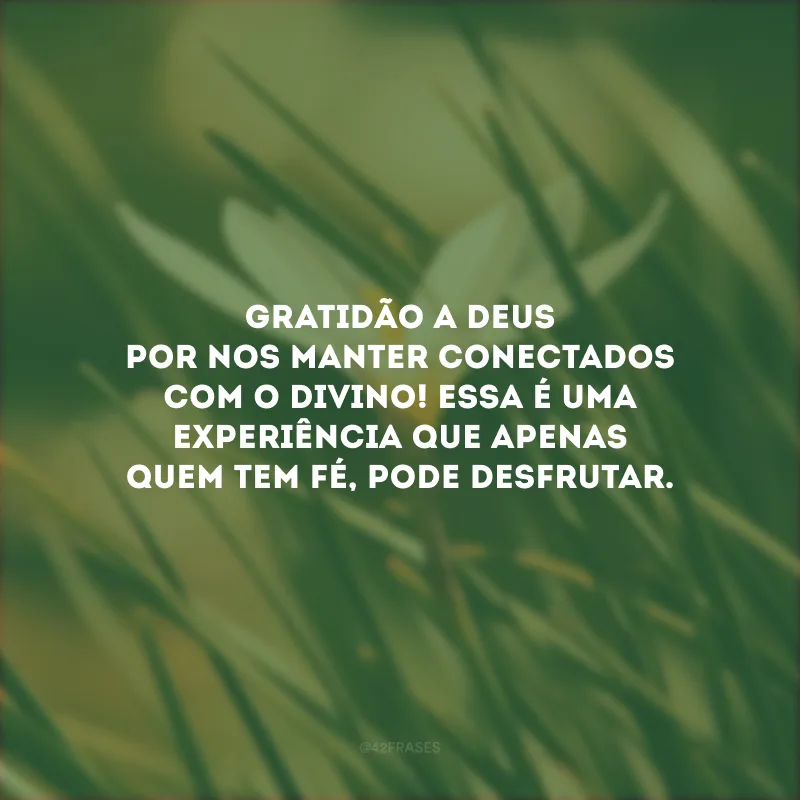 Gratidão a Deus por nos manter conectados com o divino! Essa é uma experiência que apenas quem tem fé, pode desfrutar.