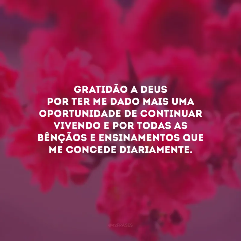Gratidão a Deus por ter me dado mais uma oportunidade de continuar vivendo e por todas as bênçãos e ensinamentos que me concede diariamente.