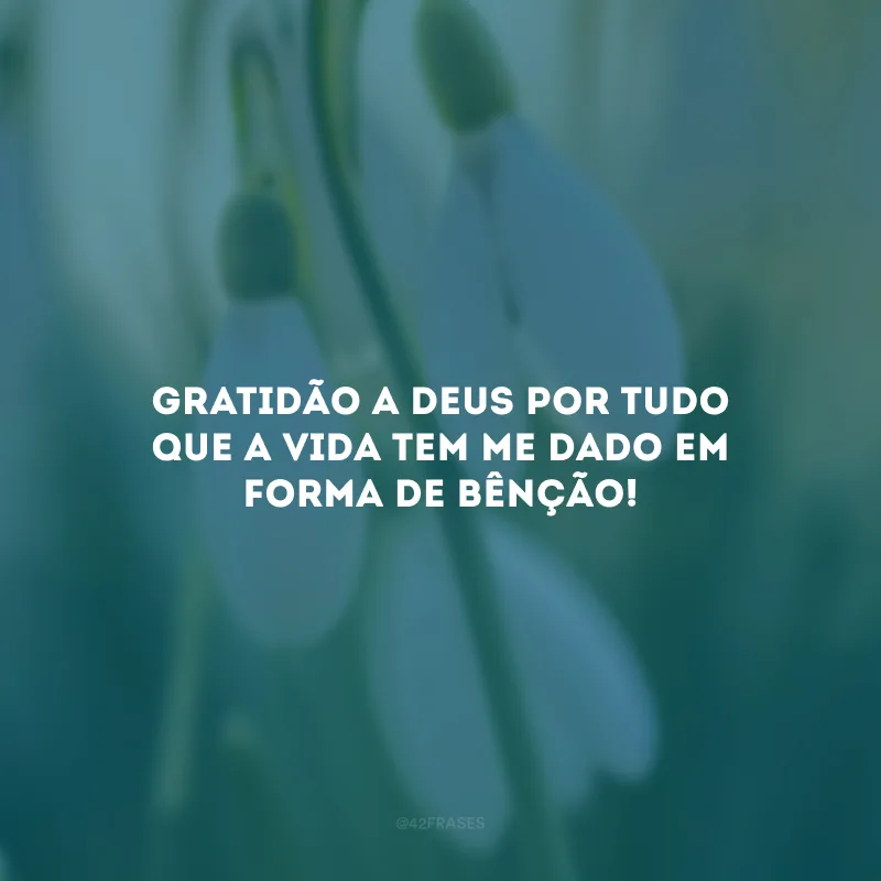 Gratidão a Deus por tudo que a vida tem me dado em forma de bênção!
