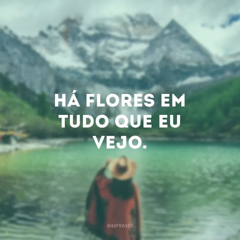 Há flores em tudo que eu vejo.