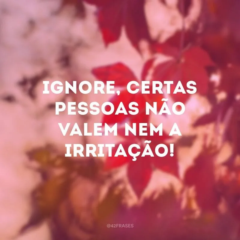 Ignore, certas pessoas não valem nem a irritação!
