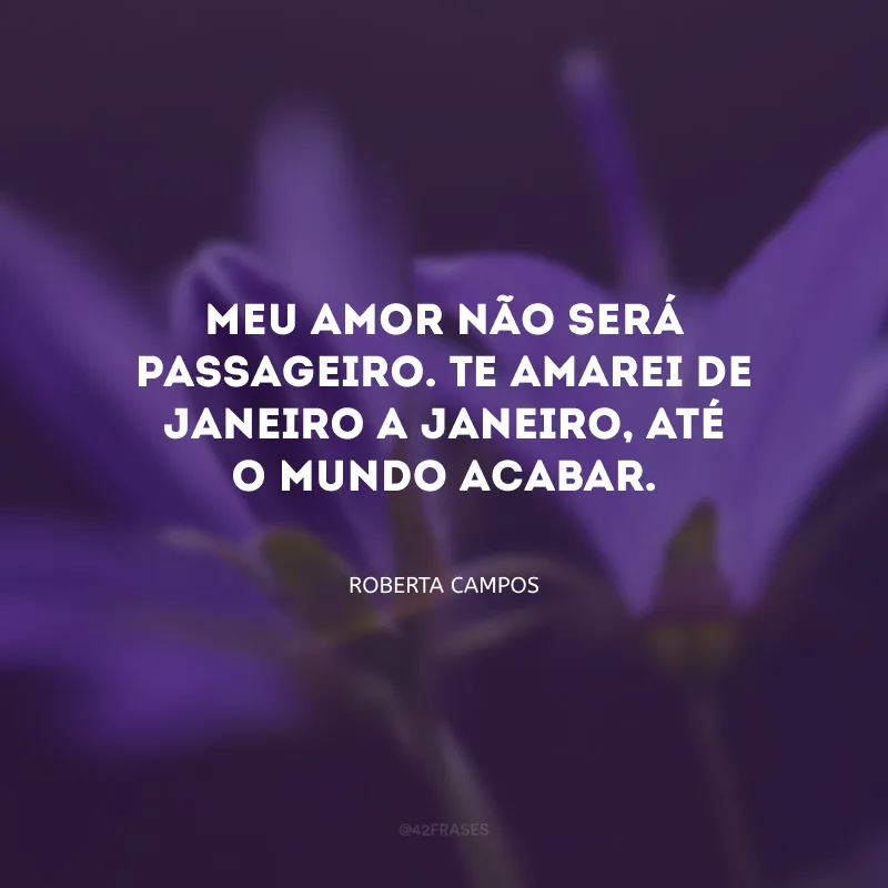 Meu amor não será passageiro. Te amarei de janeiro a janeiro, até o mundo acabar.