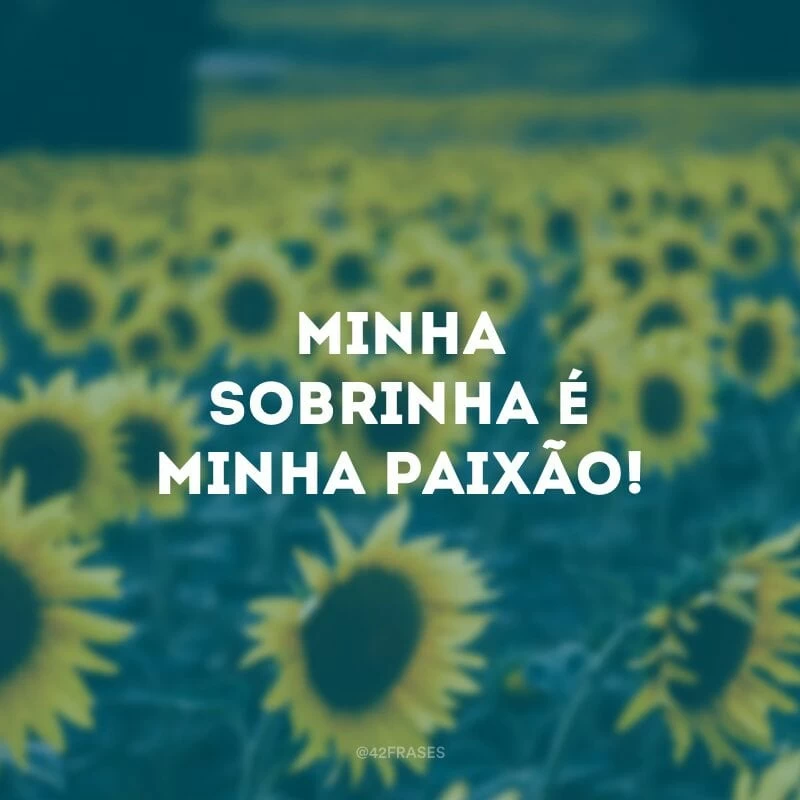 Minha sobrinha é minha paixão!