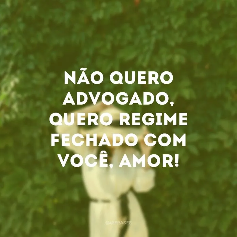 Não quero advogado, quero regime fechado com você, amor!