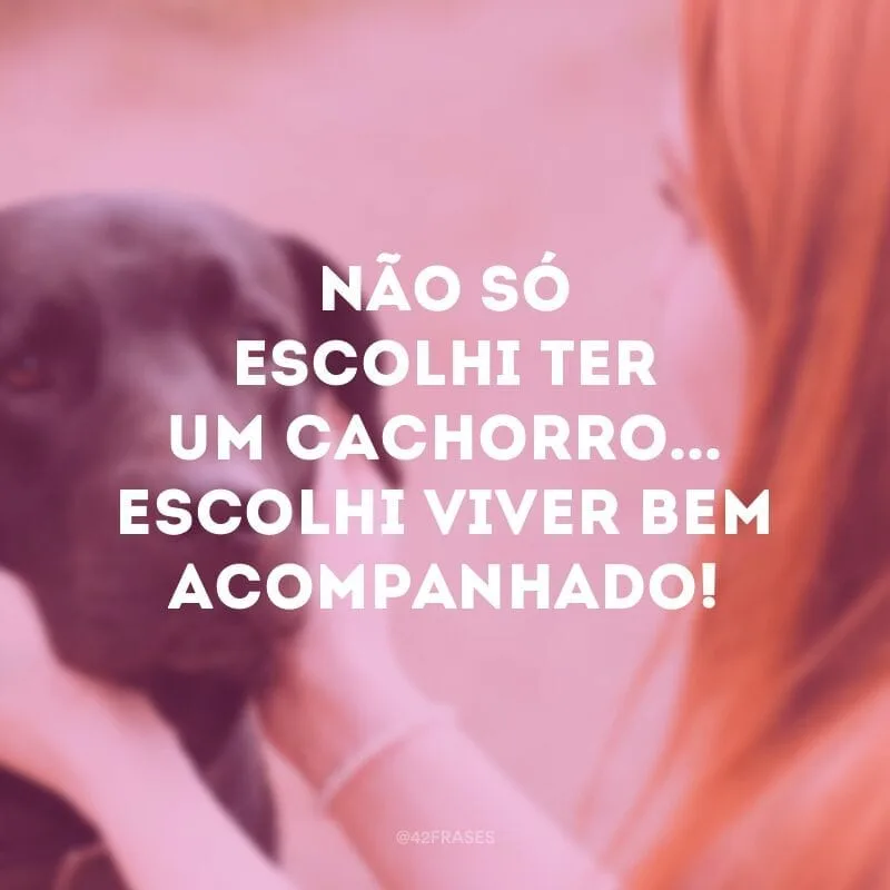 Não só escolhi ter um cachorro... escolhi viver bem acompanhado!
