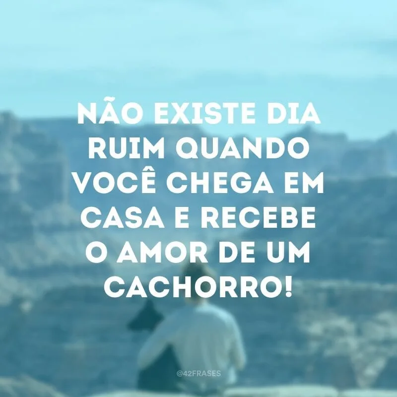 Não existe dia ruim quando você chega em casa e recebe o amor de um cachorro!