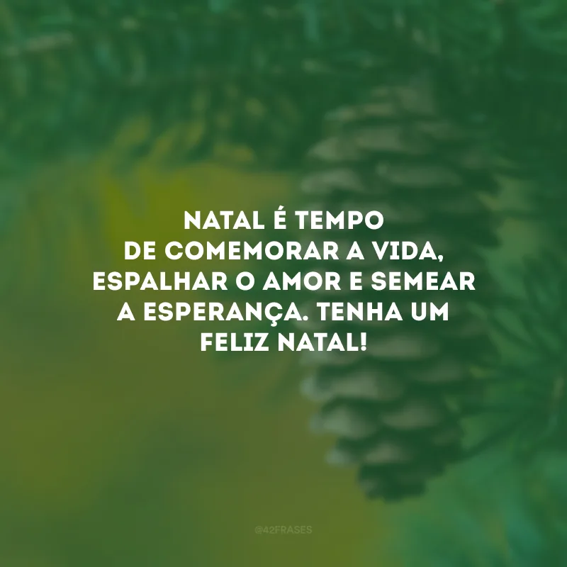Natal é tempo de comemorar a vida, espalhar o amor e semear a esperança. Tenha um Feliz Natal!
