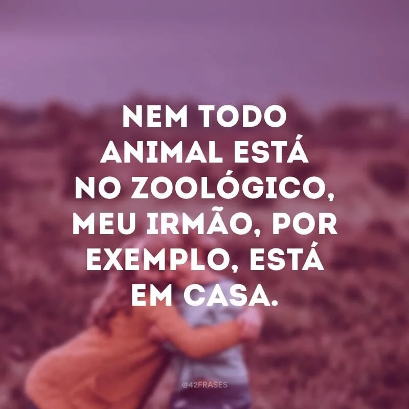 Nem todo animal está no zoológico, meu irmão, por exemplo, está em casa.