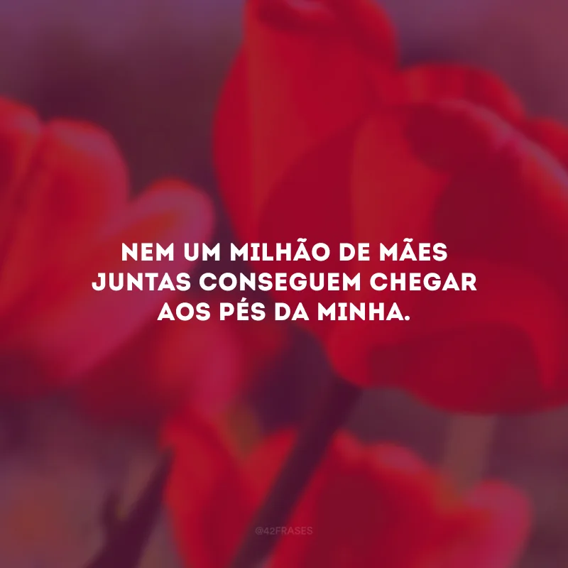 Nem um milhão de mães juntas conseguem chegar aos pés da minha. 