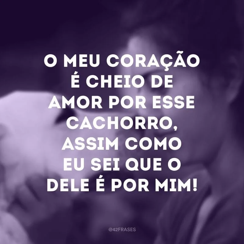 O meu coração é cheio de amor por esse cachorro, assim como eu sei que o dele é por mim!