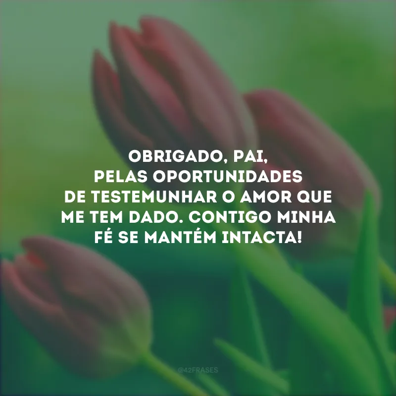 Obrigado, Pai, pelas oportunidades de testemunhar o amor que me tem dado. Contigo minha fé se mantém intacta!