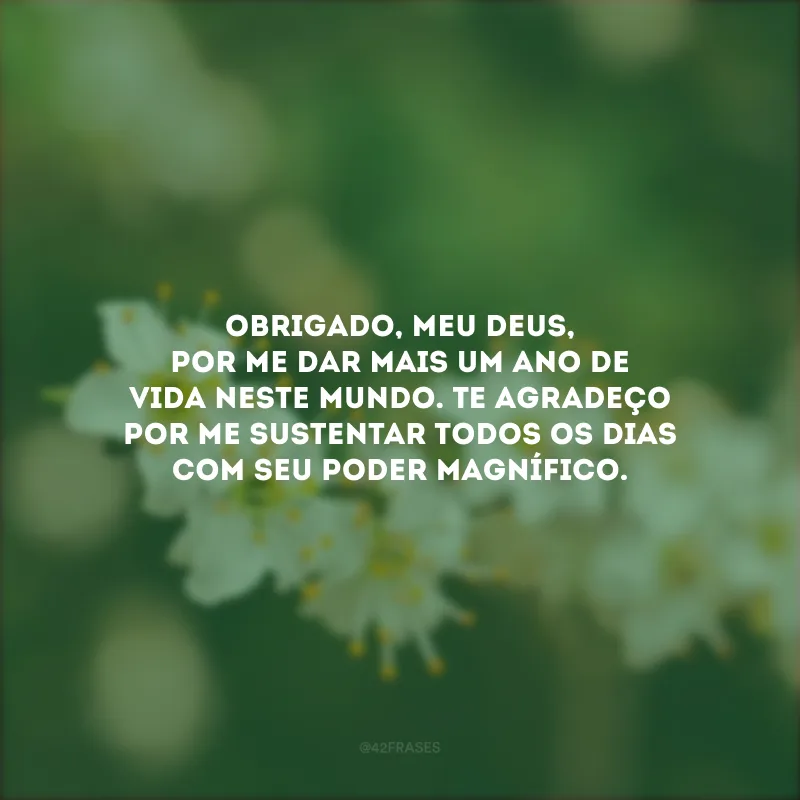 Obrigado, meu Deus, por me dar mais um ano de vida neste mundo. Te agradeço por me sustentar todos os dias com seu poder magnífico.