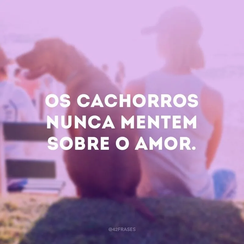 Os cachorros nunca mentem sobre o amor.