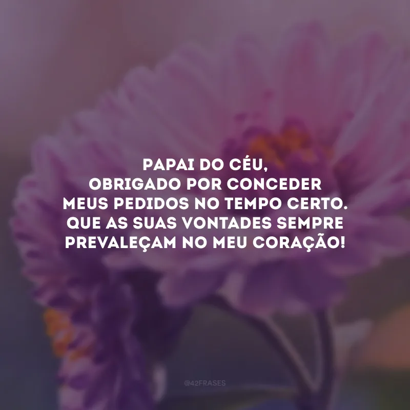 Papai do Céu, obrigado por conceder meus pedidos no tempo certo. Que as suas vontades sempre prevaleçam no meu coração!