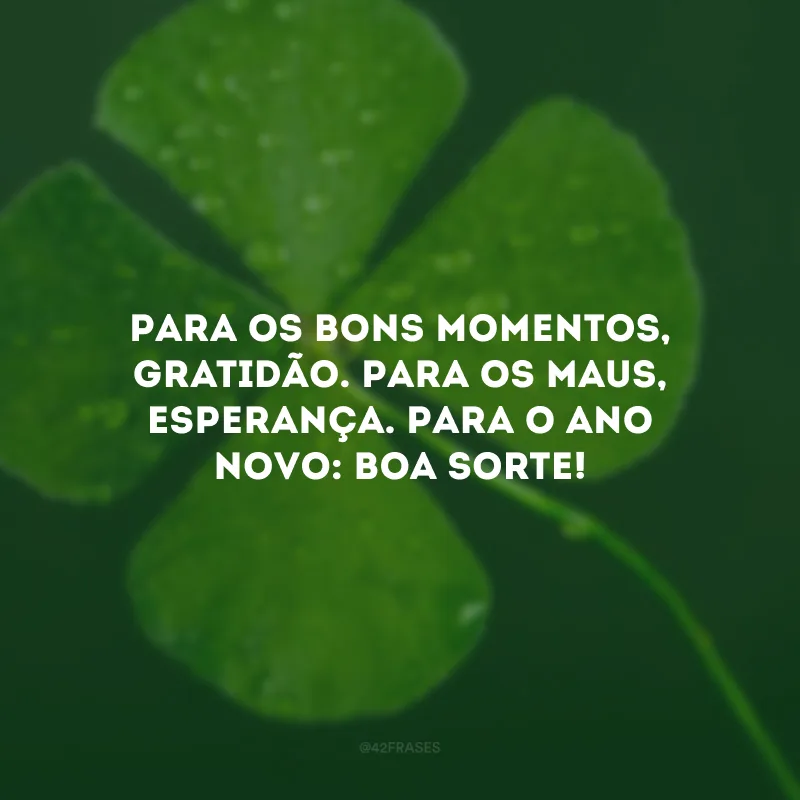 Para os bons momentos, gratidão. Para os maus, esperança. Para o Ano Novo: boa sorte!