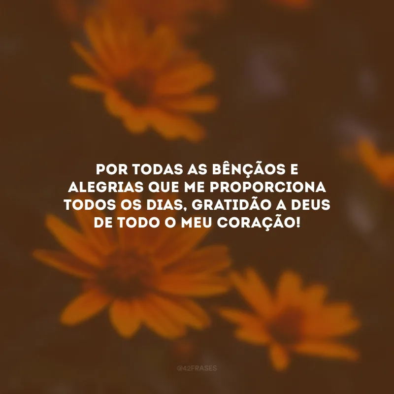 Por todas as bênçãos e alegrias que me proporciona todos os dias, gratidão a Deus de todo o meu coração!