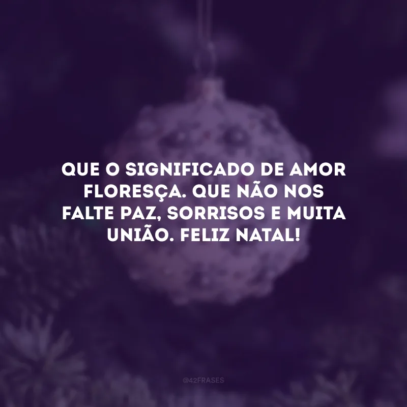 Que o significado de amor floresça. Que não nos falte paz, sorrisos e muita união. Feliz Natal!