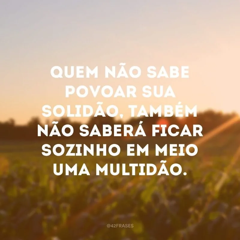 Quem não sabe povoar sua solidão, também não saberá ficar sozinho em meio uma multidão.