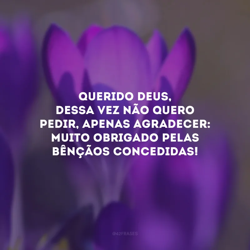 Querido Deus, dessa vez não quero pedir, apenas agradecer: muito obrigado pelas bênçãos concedidas!
