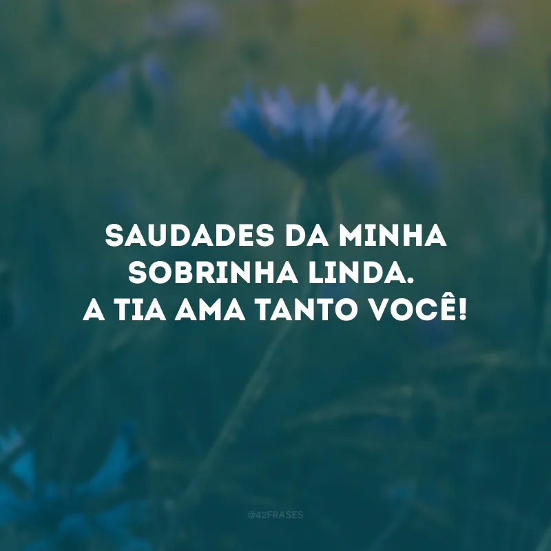 Saudades da minha sobrinha linda. A tia ama tanto você!