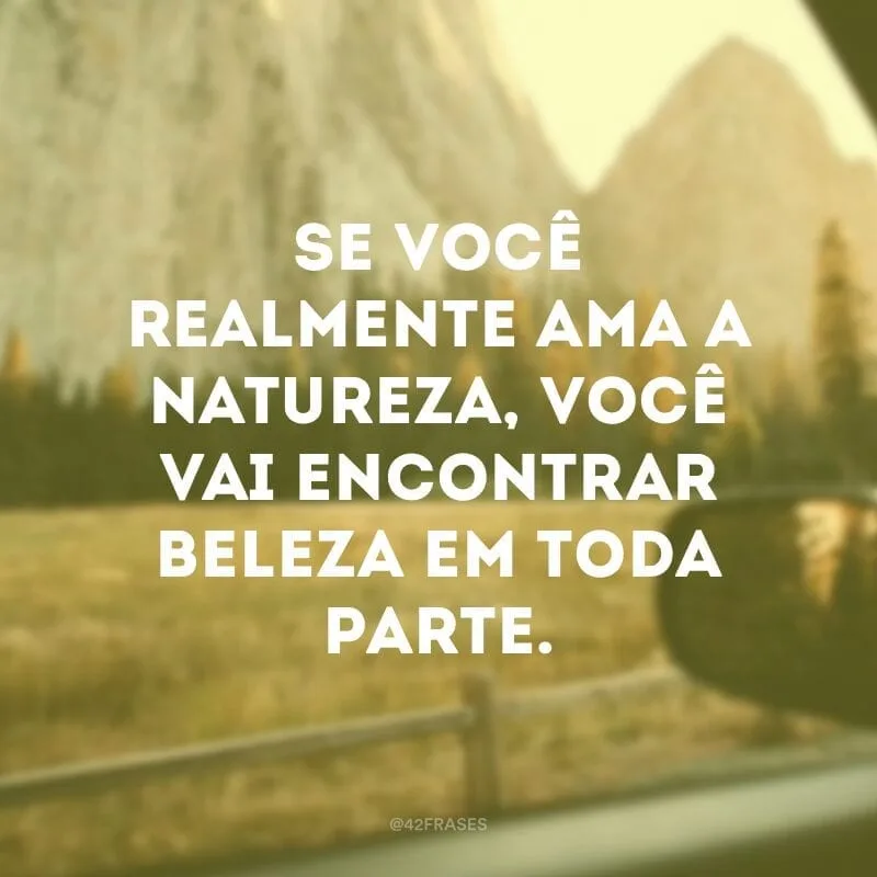 Se você realmente ama a natureza, você vai encontrar beleza em toda parte. 
