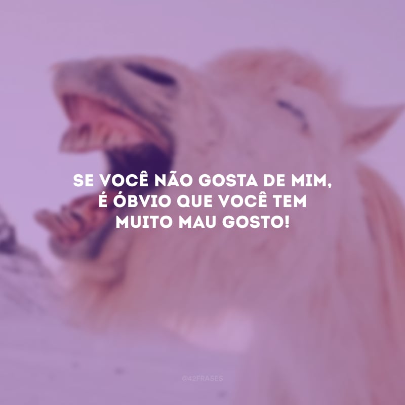 Se você não gosta de mim, é óbvio que você tem muito mau gosto!
