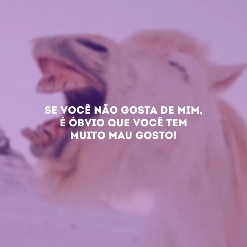 Se você não gosta de mim, é óbvio que você tem muito mau gosto!
