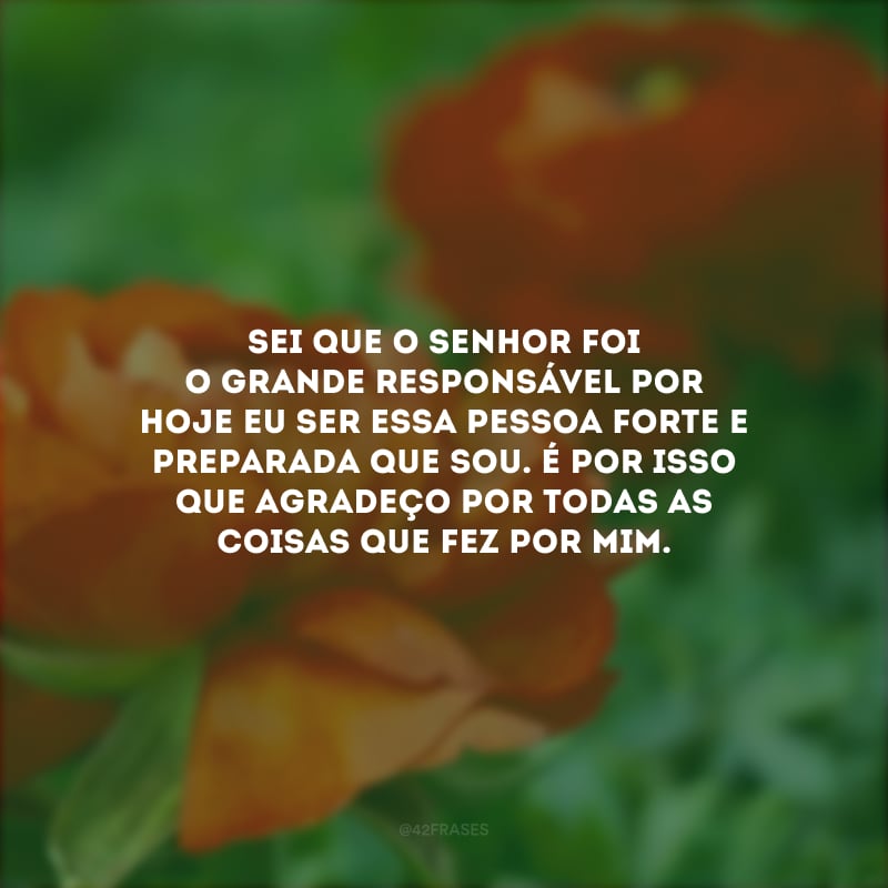 Sei que o Senhor foi o grande responsável por hoje eu ser essa pessoa forte e preparada que sou. É por isso que agradeço por todas as coisas que fez por mim.