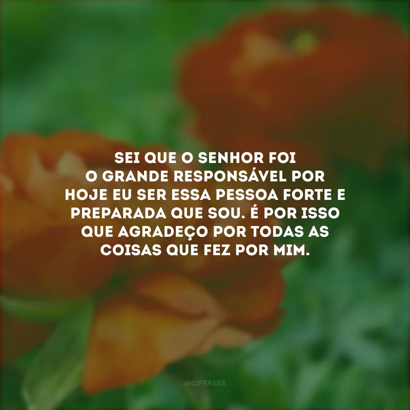 Sei que o Senhor foi o grande responsável por hoje eu ser essa pessoa forte e preparada que sou. É por isso que agradeço por todas as coisas que fez por mim.