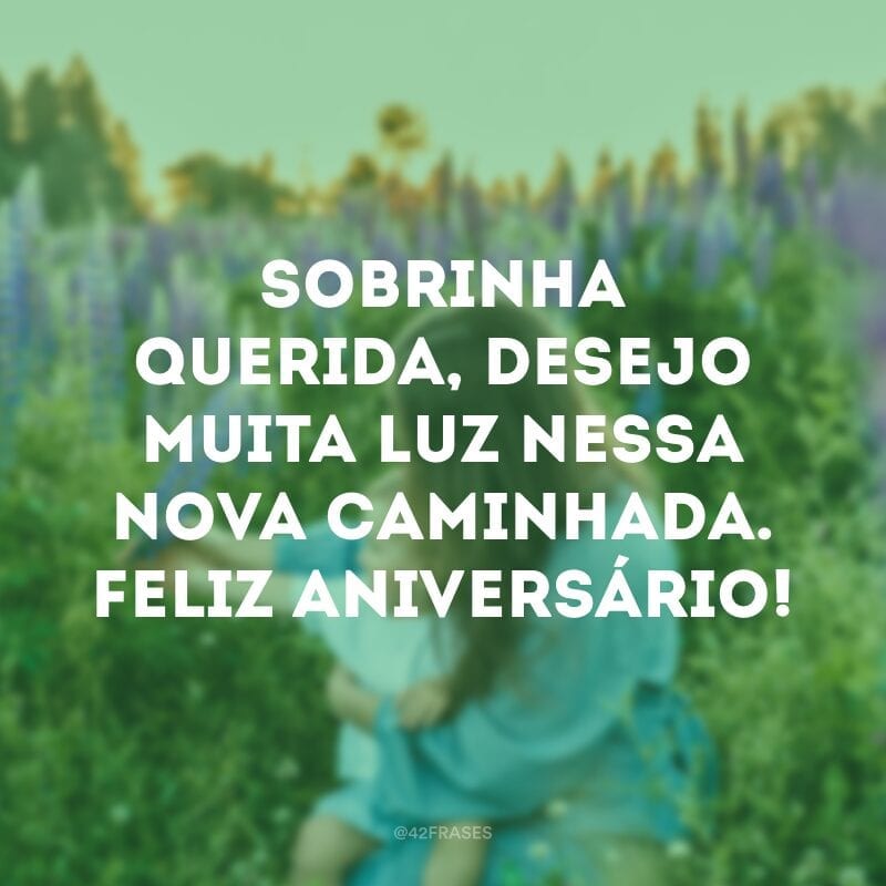 Sobrinha querida, desejo muita luz nessa nova caminhada. Feliz aniversário!